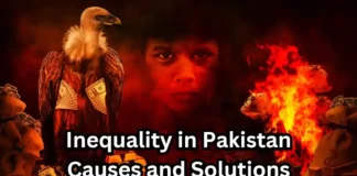 Inequality in Pakistan, Causes and Solutions Inequality in Pakistan, Causes and Solutions